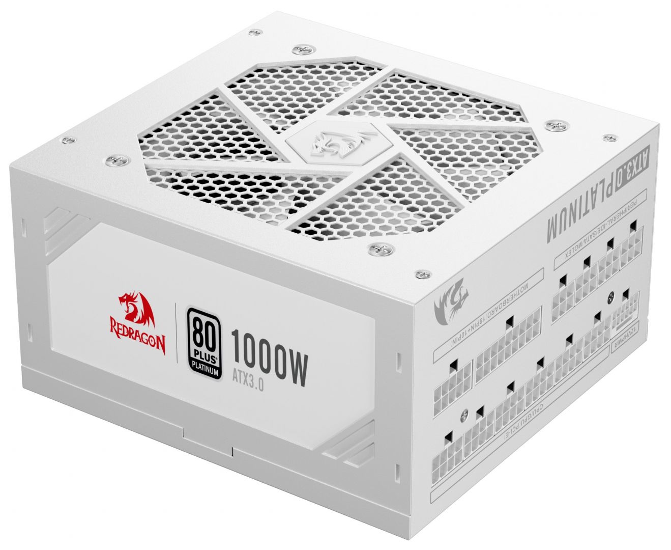 RGPS-1000W 2