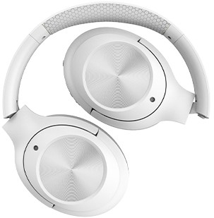 BH220 (white) 2